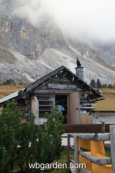 wbgarden alps 93.JPG